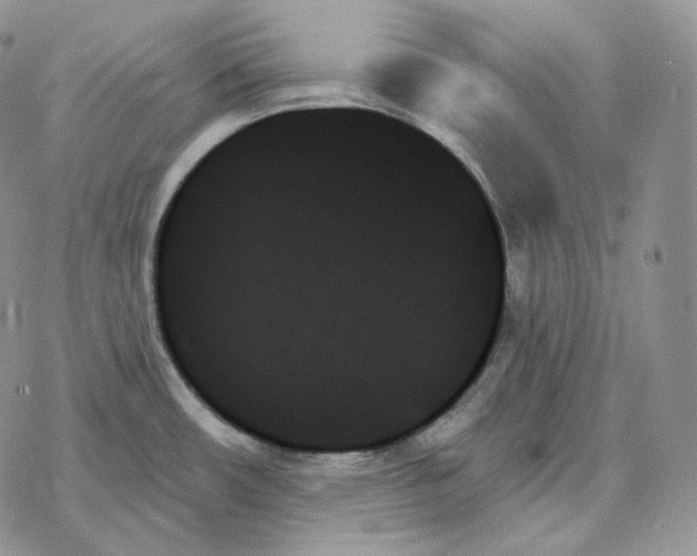 X0000078271482200611251341