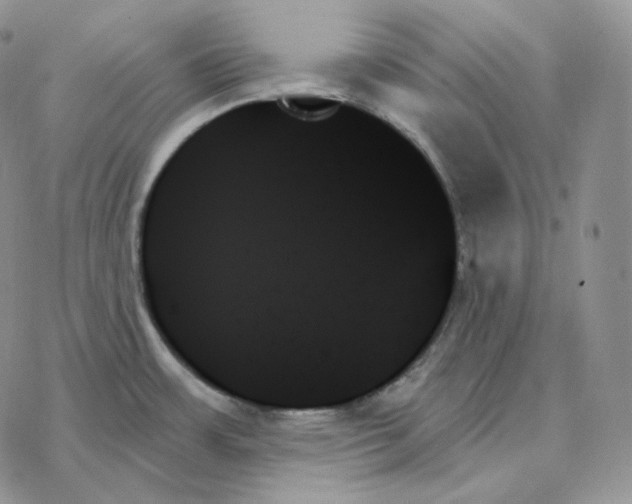 X0000078271483200611251341