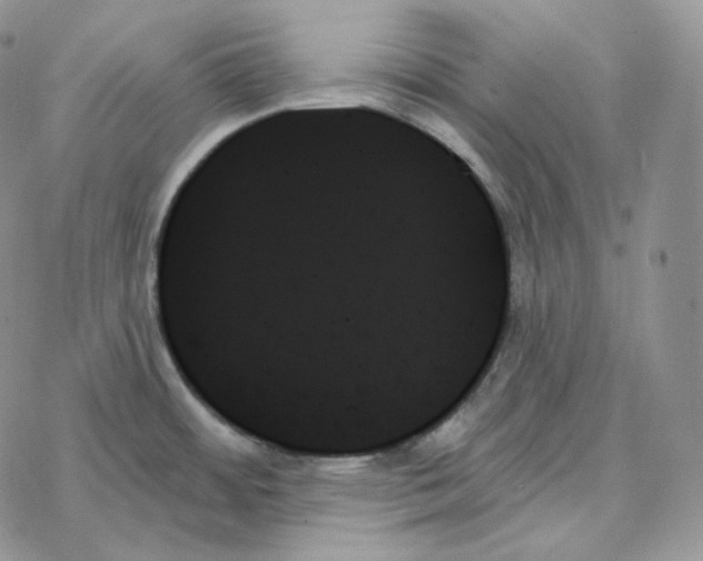 X0000078271484200611251341