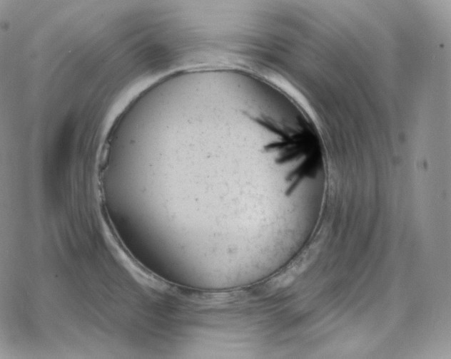 X0000078271485200611251341