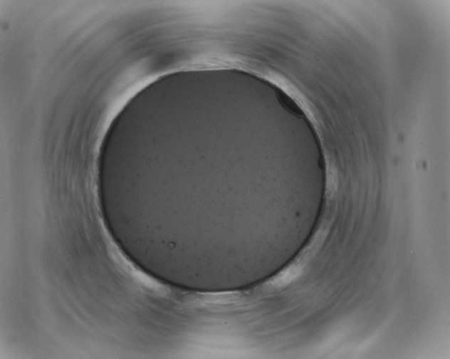 X0000078271486200611251341