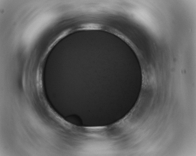 X0000078271487200611251341