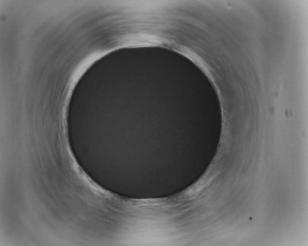 X0000078271488200611251341