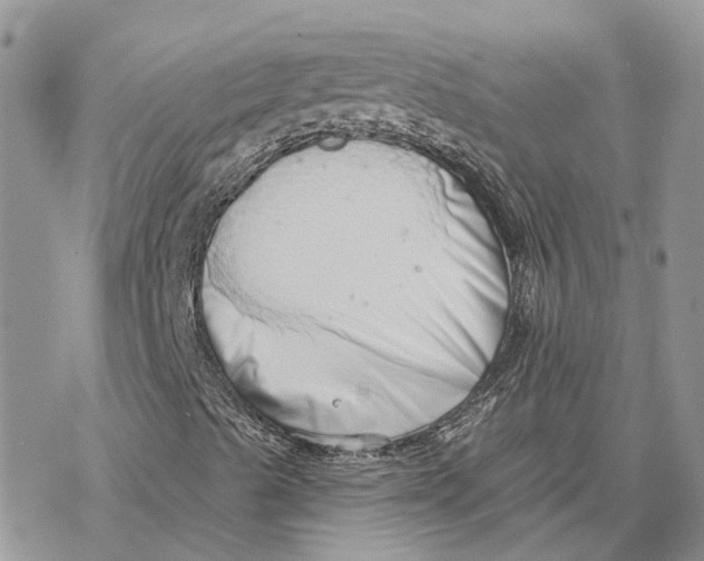 X0000078271489200611251340