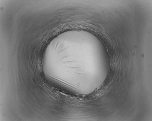 X0000078271490200611251340