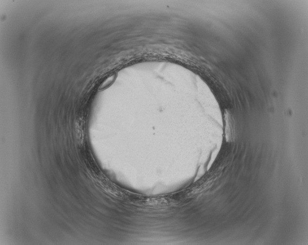 X0000078271491200611251340