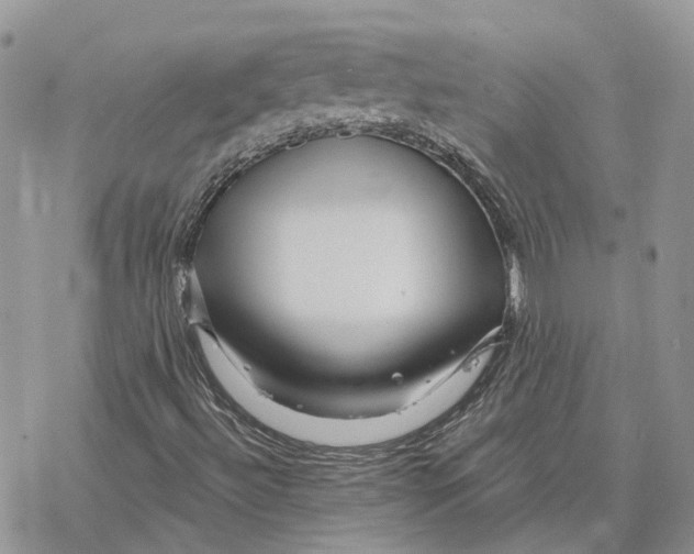 X0000078271492200611251340