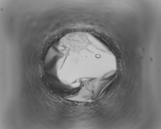 X0000078271493200611251340