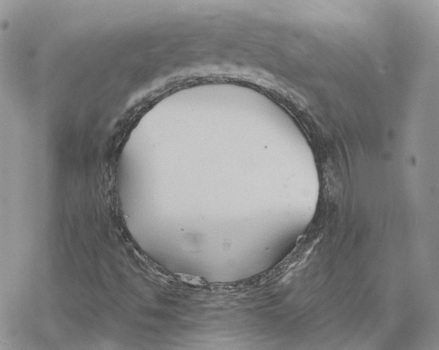 X0000078271494200611251340