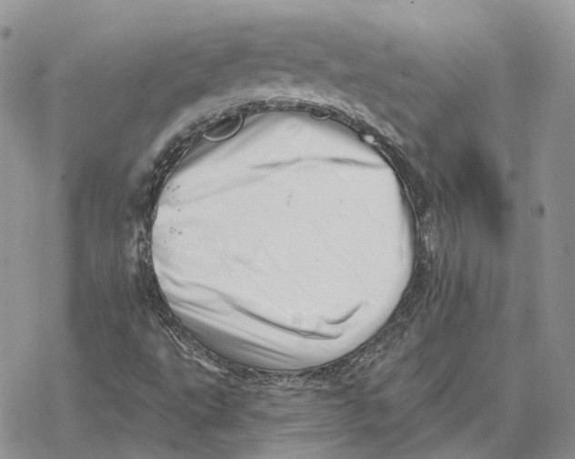 X0000078271495200611251340