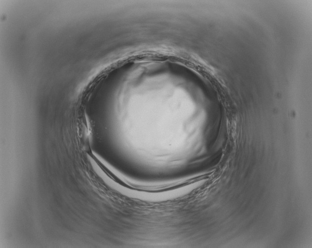 X0000078271496200611251340