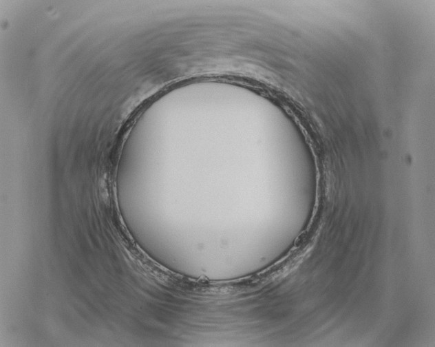 X0000078271497200611251340