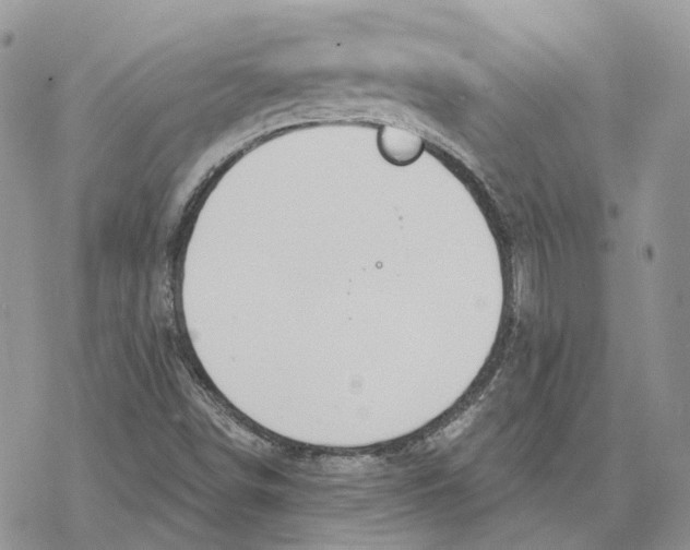 X0000078271498200611251340