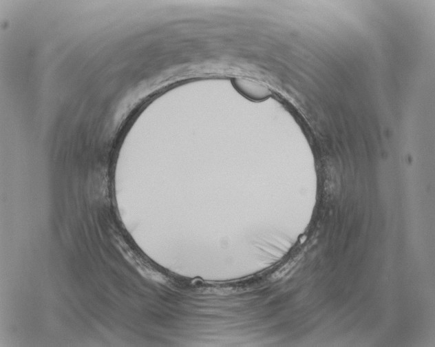 X0000078271499200611251340