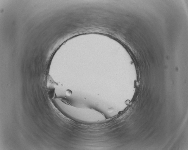 X0000078271500200611251340