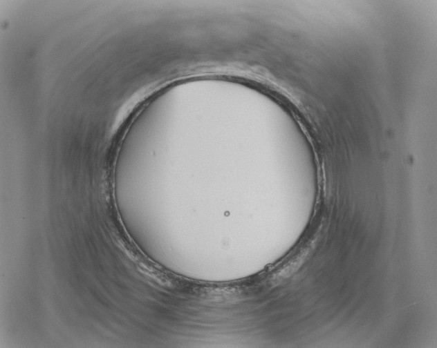 X0000078271501200611251340