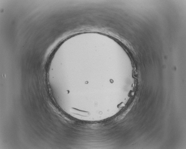 X0000078271502200611251340