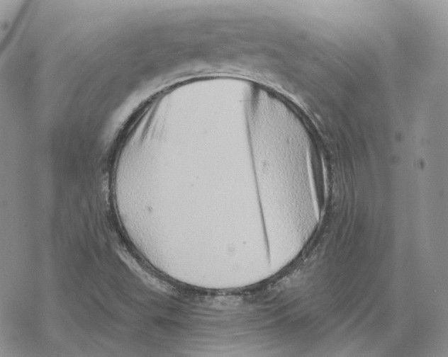 X0000078271503200611251340