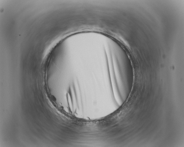 X0000078271504200611251340