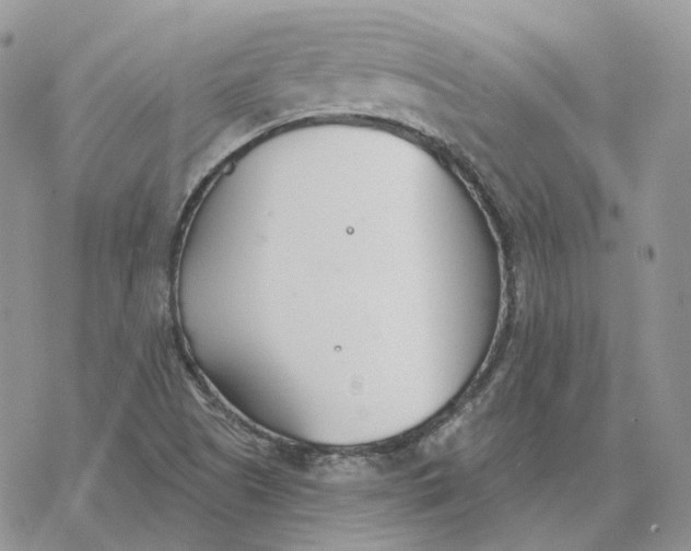 X0000078271505200611251340