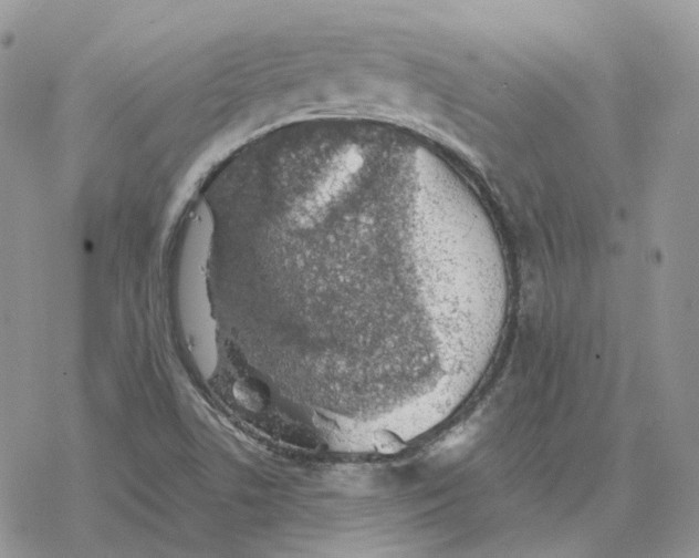 X0000078271506200611251340