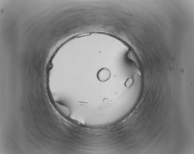 X0000078271508200611251340