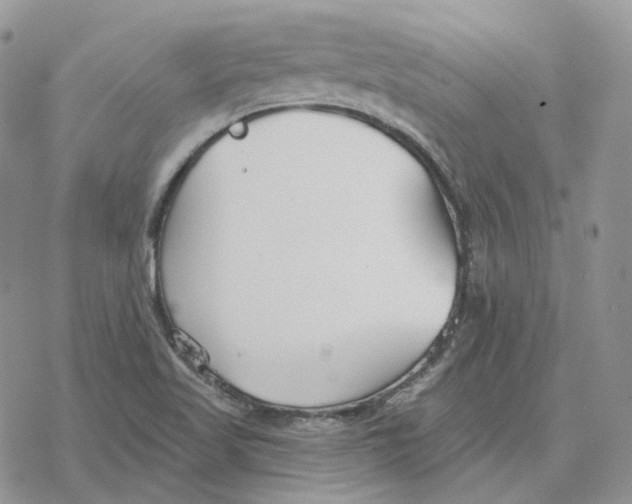 X0000078271509200611251340