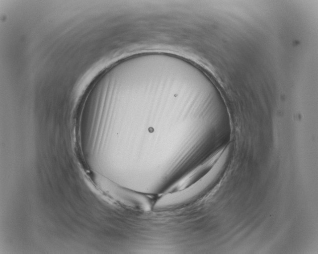 X0000078271511200611251340