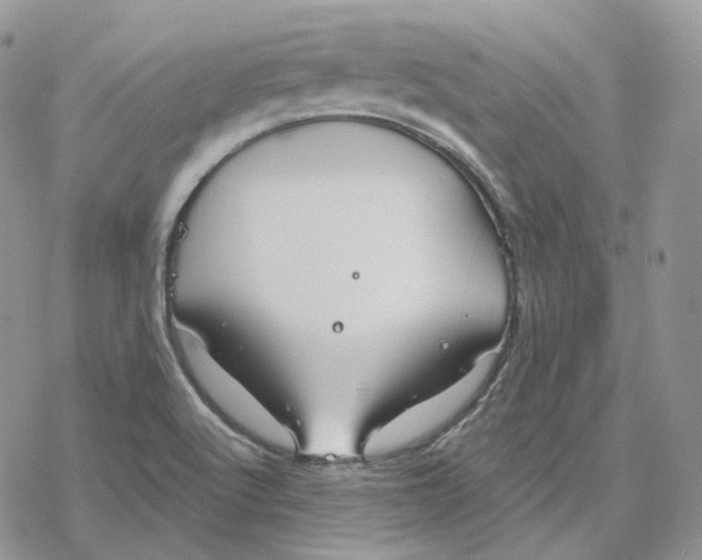 X0000078271512200611251340