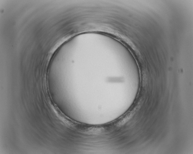 X0000078271513200611251340