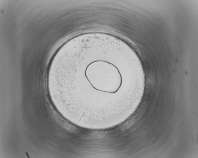 X0000078271514200611251340