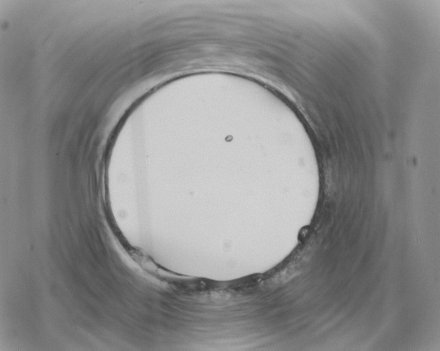 X0000078271515200611251340