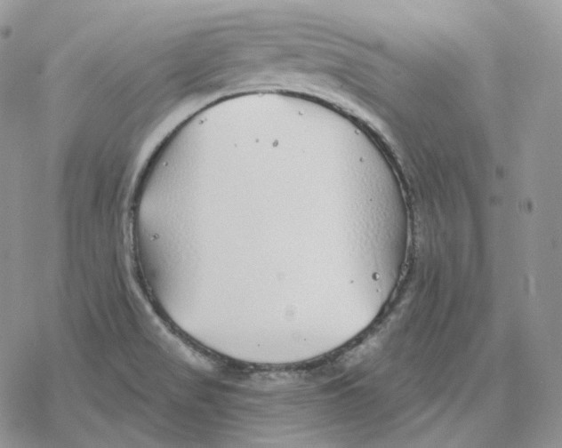 X0000078271517200611251340