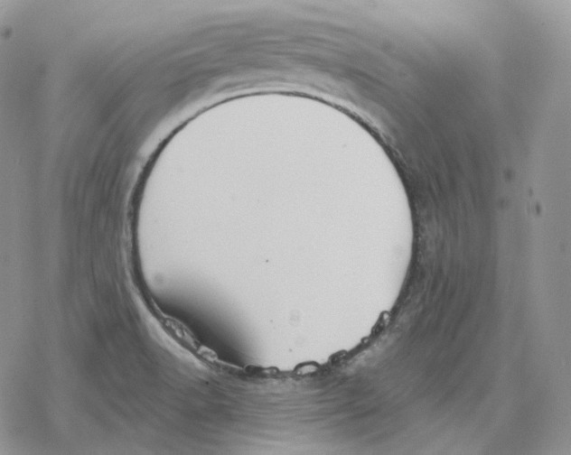 X0000078271518200611251340