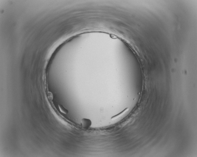 X0000078271519200611251340