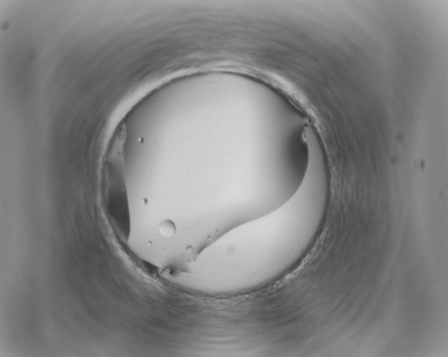 X0000078271520200611251340