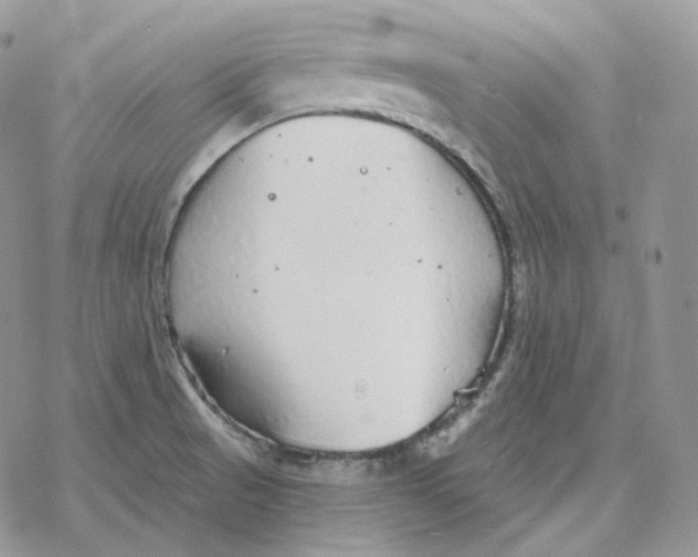 X0000078271521200611251341