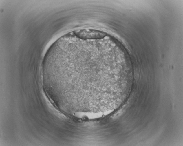 X0000078271522200611251341