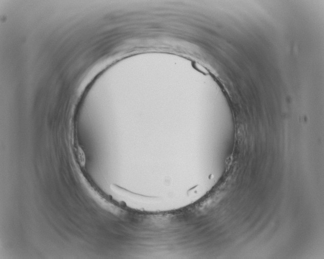 X0000078271523200611251341