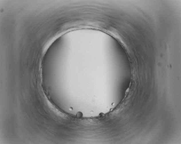 X0000078271524200611251341