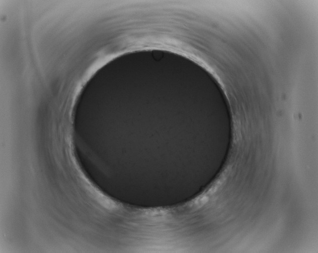 X0000078271525200611251341