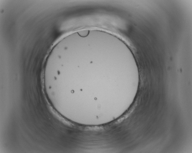 X0000078271526200611251341