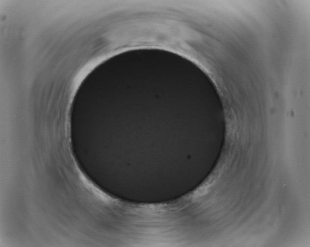 X0000078271527200611251341