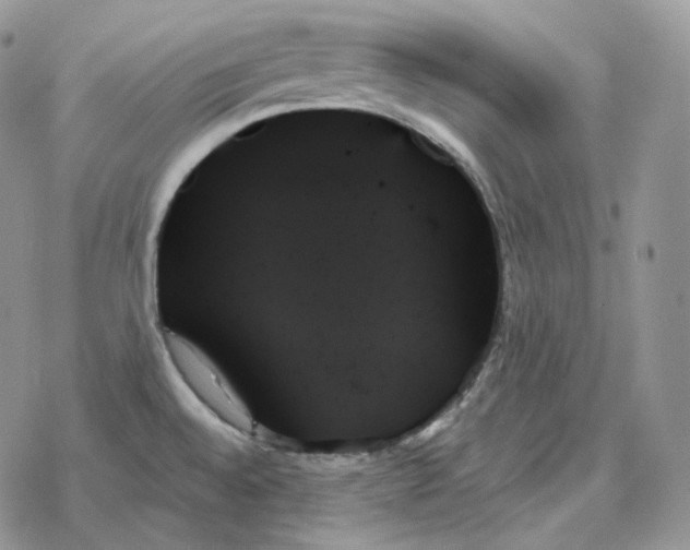 X0000078271528200611251341