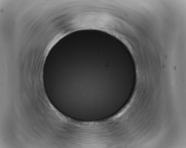 X0000078271529200611251341