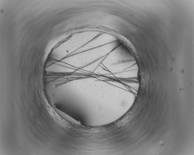 X0000078271530200611251341