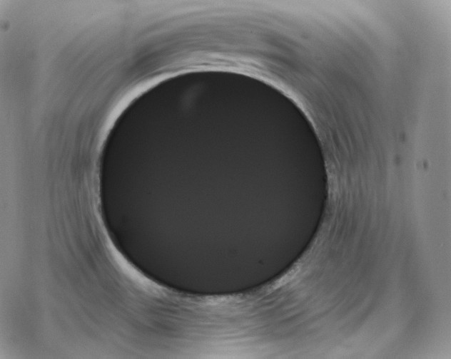 X0000078271531200611251341