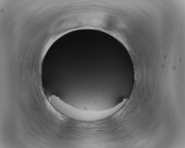 X0000078271532200611251341