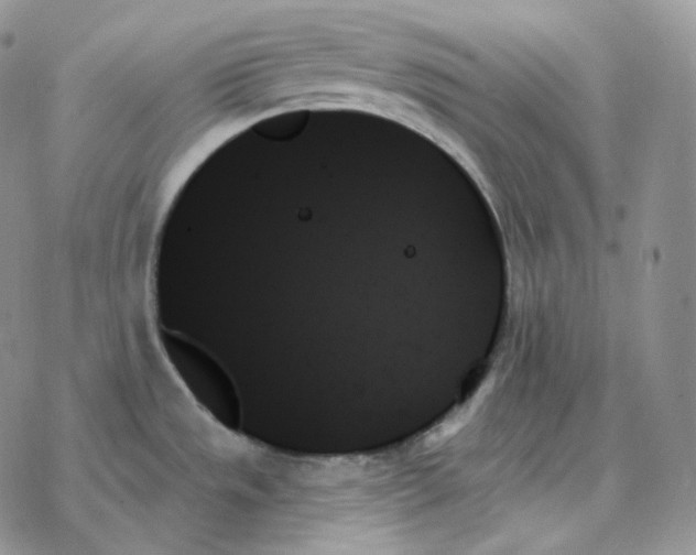 X0000078271533200611251341