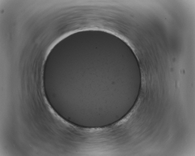 X0000078271534200611251341